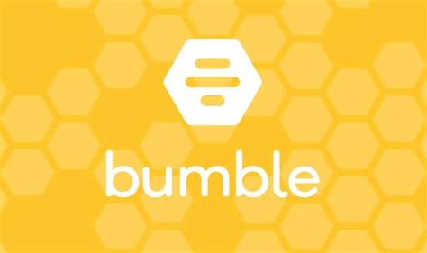 バンブル 意味|【英単語】bumbleを徹底解説！意味、使い方、例文。